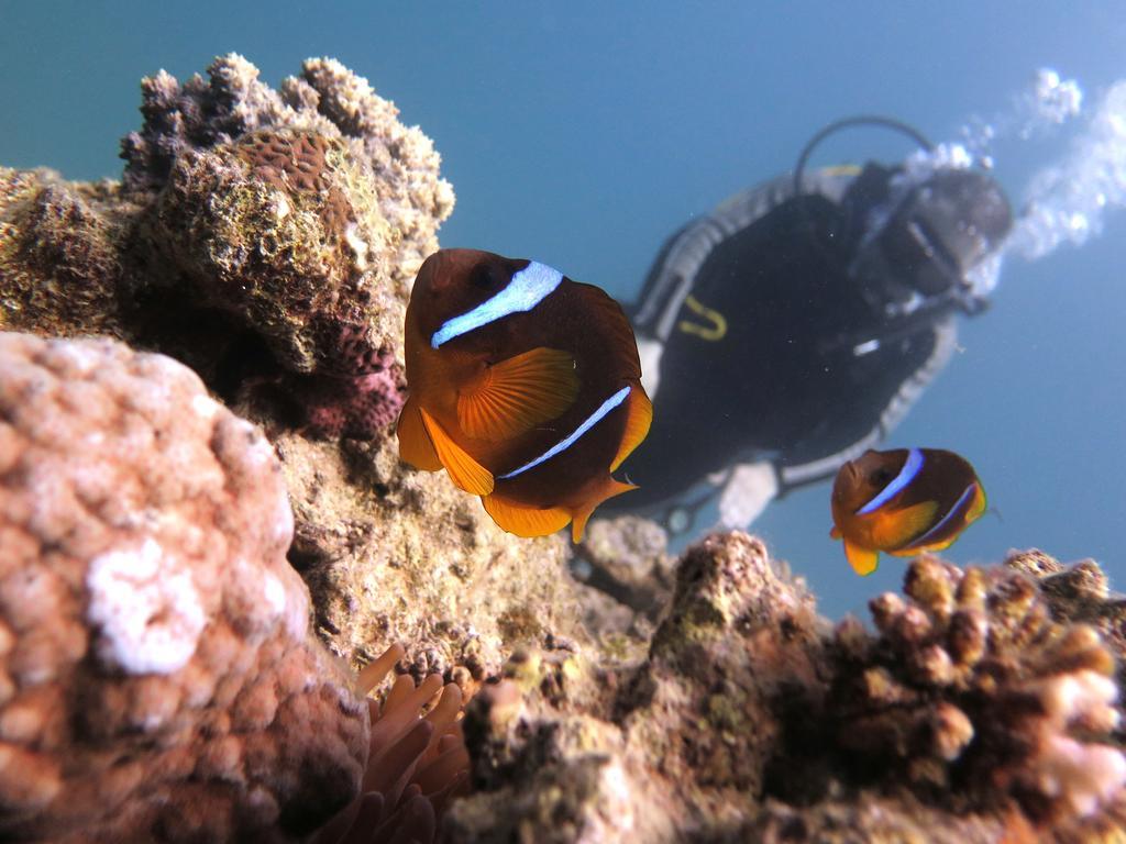 Bait Alaqaba Resort ภายนอก รูปภาพ